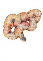 http://www.hjjung.com/files/gimgs/th-24_뎅궁.jpg