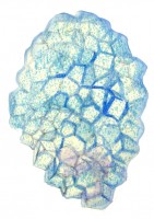 http://www.hjjung.com/files/gimgs/th-24_드몬다2.jpg
