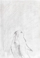 http://www.hjjung.com/files/gimgs/th-80_23_v3.jpg