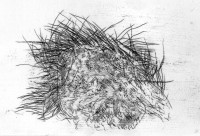http://www.hjjung.com/files/gimgs/th-99_1-3_v2.jpg