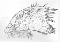 http://www.hjjung.com/files/gimgs/th-99_1-4_v2.jpg
