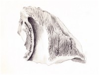 http://www.hjjung.com/files/gimgs/th-99_10_v3.jpg