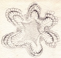 http://www.hjjung.com/files/gimgs/th-99_11_v4.jpg