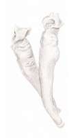 http://www.hjjung.com/files/gimgs/th-99_1_v4.jpg