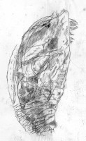 http://www.hjjung.com/files/gimgs/th-99_2-1_v2.jpg