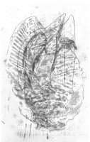 http://www.hjjung.com/files/gimgs/th-99_2-2_v3.jpg