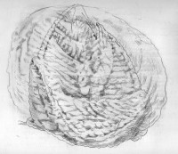 http://www.hjjung.com/files/gimgs/th-99_2-3_v2.jpg