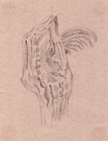 http://www.hjjung.com/files/gimgs/th-99_4_v4.jpg