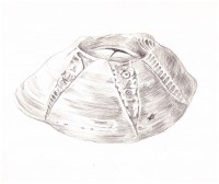 http://www.hjjung.com/files/gimgs/th-99_5_v4.jpg