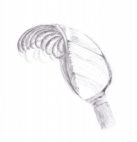http://www.hjjung.com/files/gimgs/th-99_6_v5.jpg