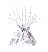 http://www.hjjung.com/files/gimgs/th-99_7_v5.jpg