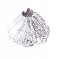 http://www.hjjung.com/files/gimgs/th-99_9_v3.jpg
